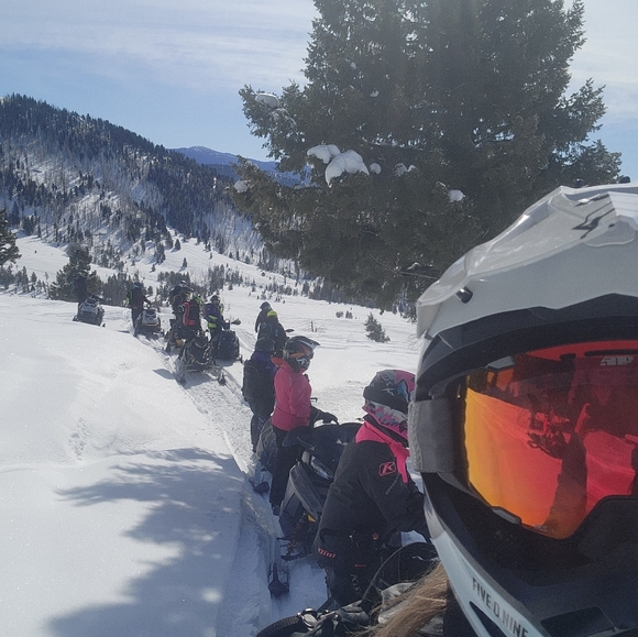 Meet your Posher, Linda - Picture 6 of 8